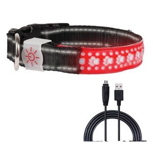 LED Dog Collar